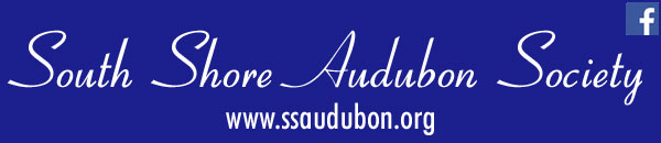 South Shore Audubon