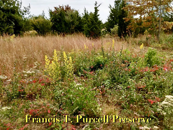 Francis Purcell Preserve