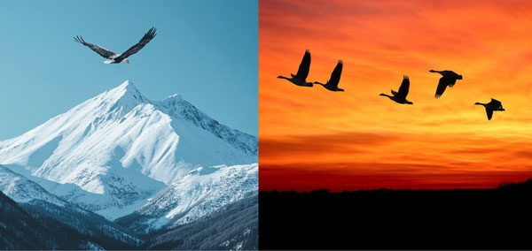 Bobby & Cathy Horvath