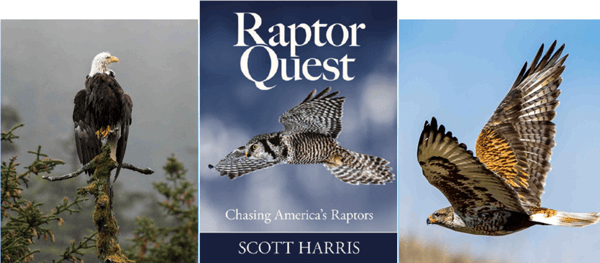 Raptor Quest