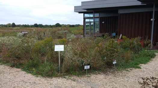 Hempsteah Plains Garden